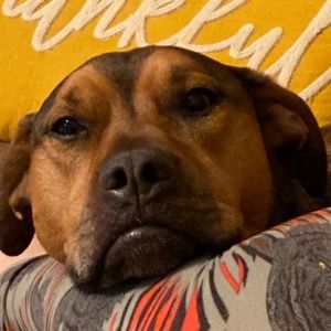 Meet your Posher, Scott